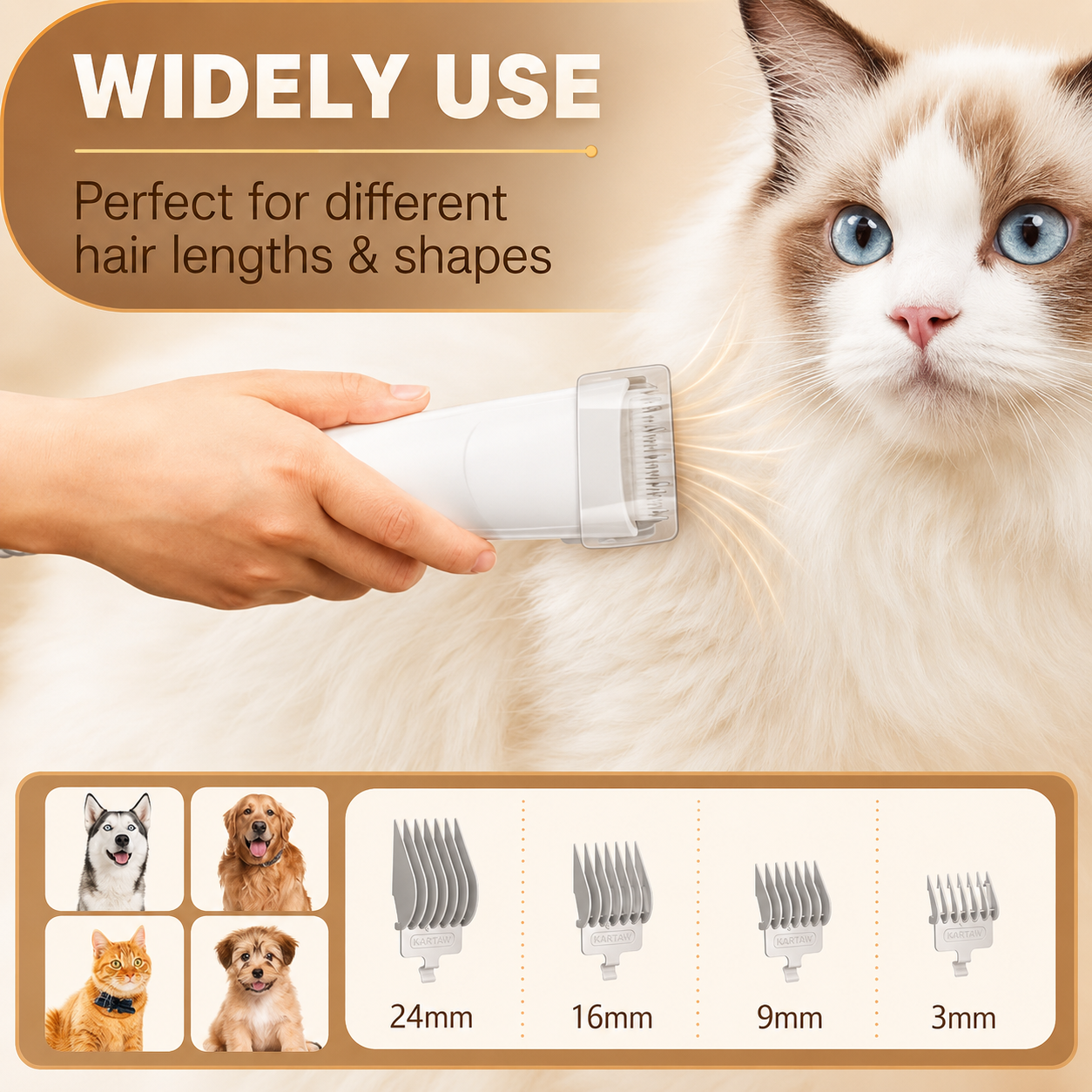 Pet Vacuum