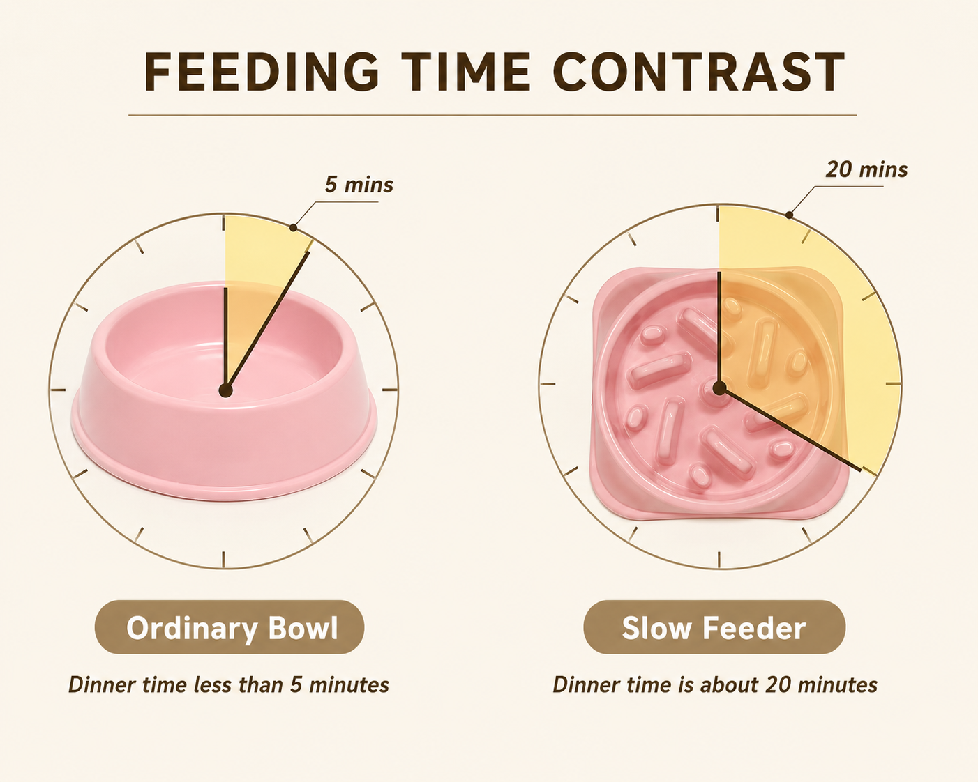 Slow Feeding Bowl