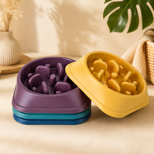 Slow Feeding Bowl