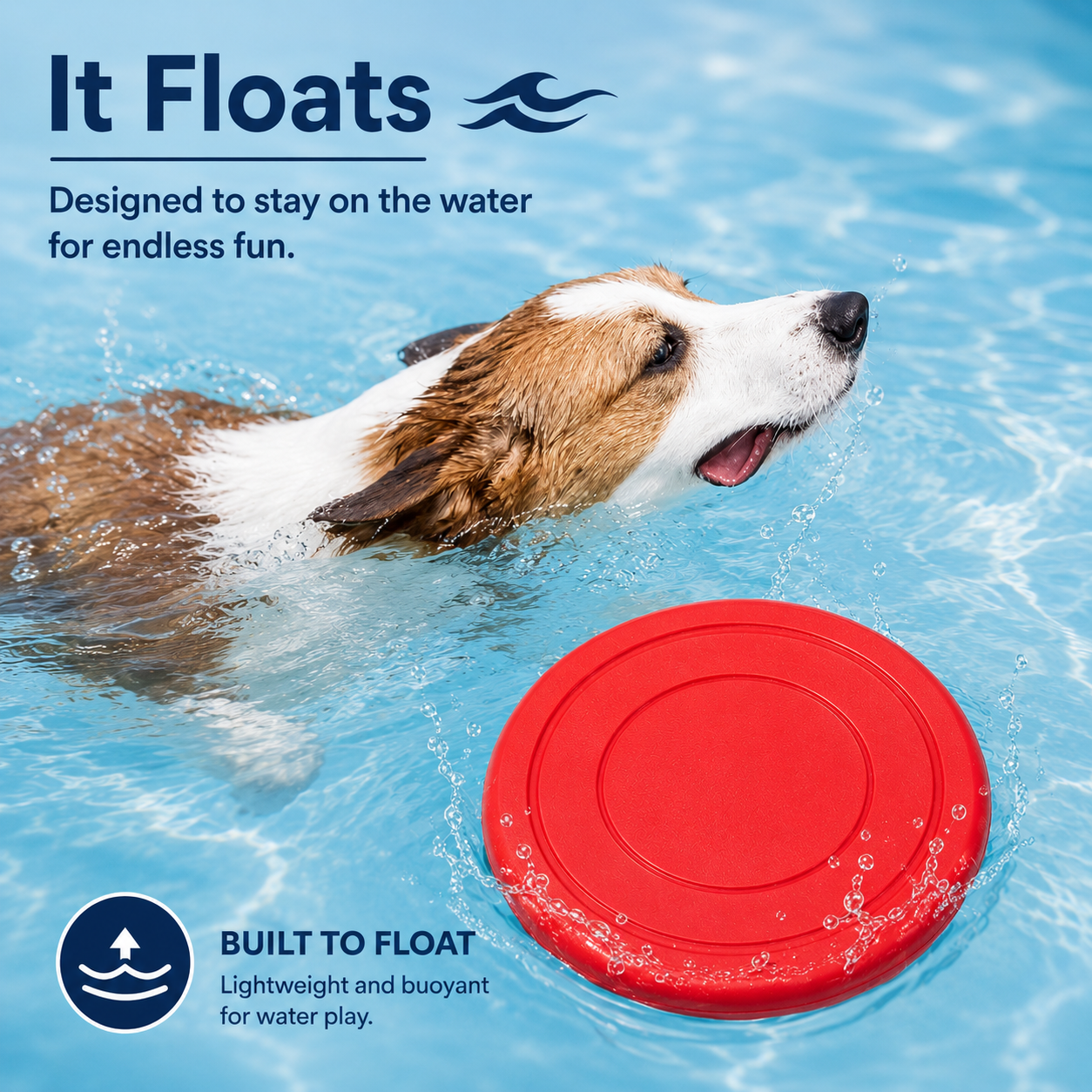 Dog Frisbee