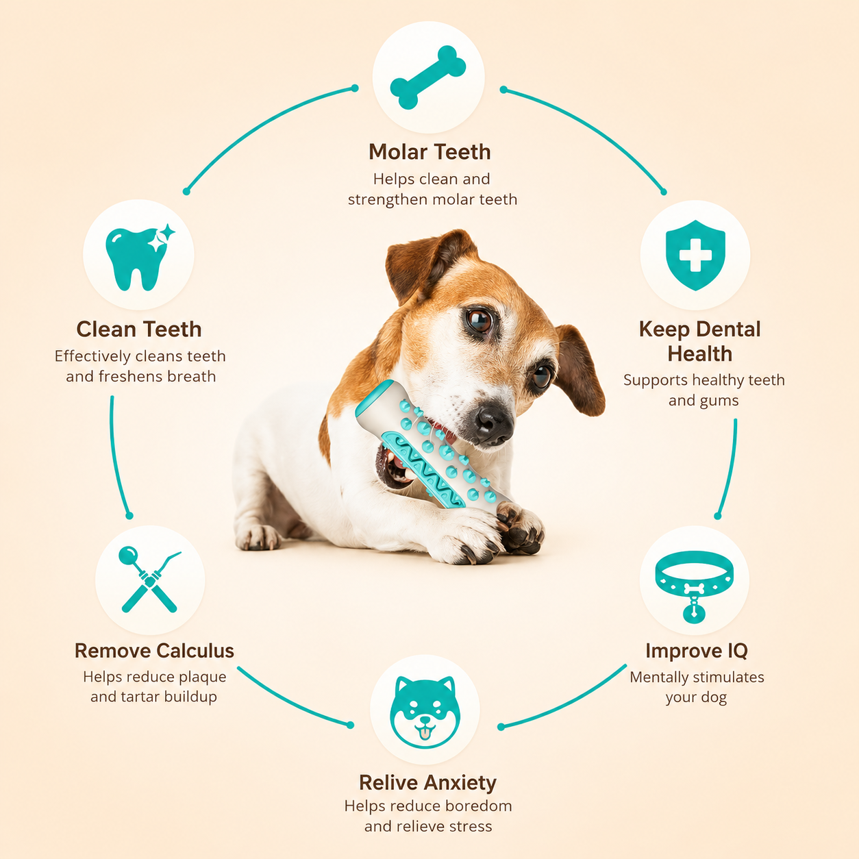 Dog Dental chew