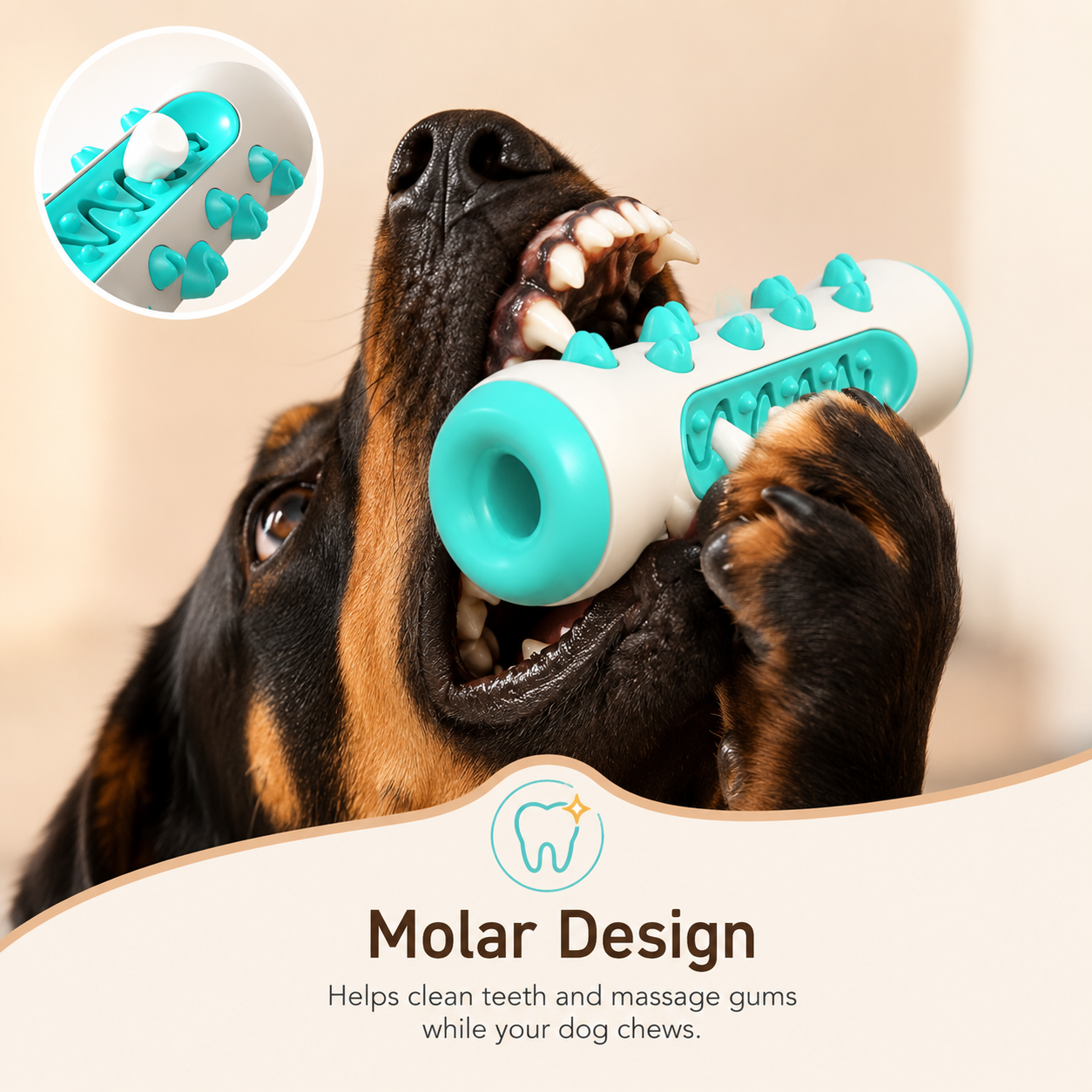 Dog Dental chew