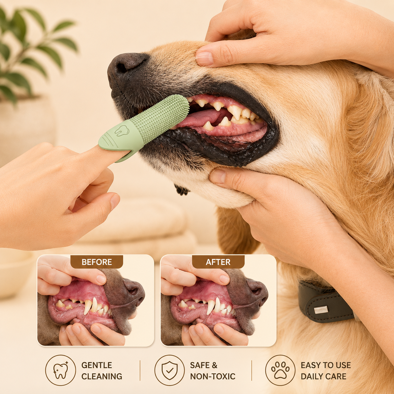 Pet Toothbrush